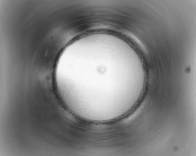 X0000103330921200809192201