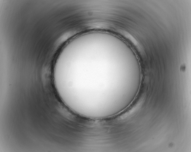 X0000103330922200809192201