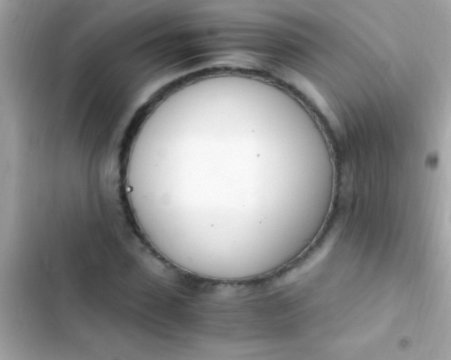 X0000103330923200809192201