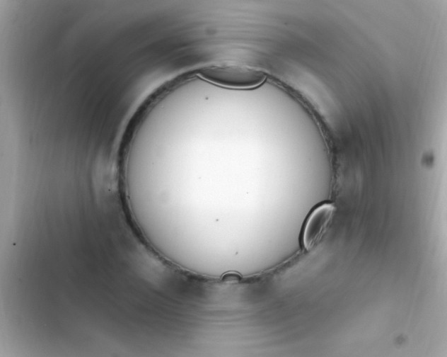 X0000103330924200809192201