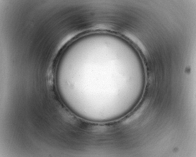 X0000103330925200809192201