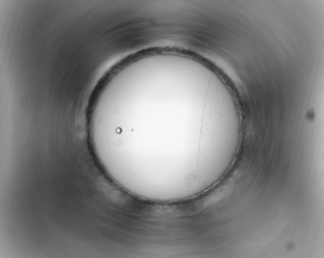 X0000103330927200809192201