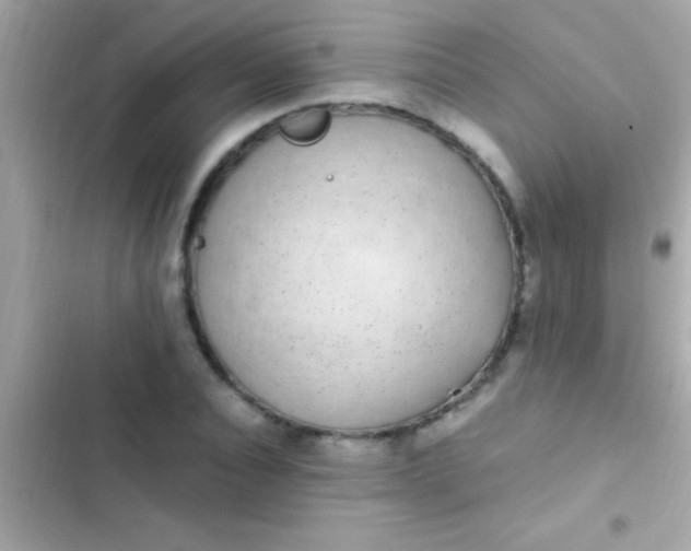 X0000103330928200809192201