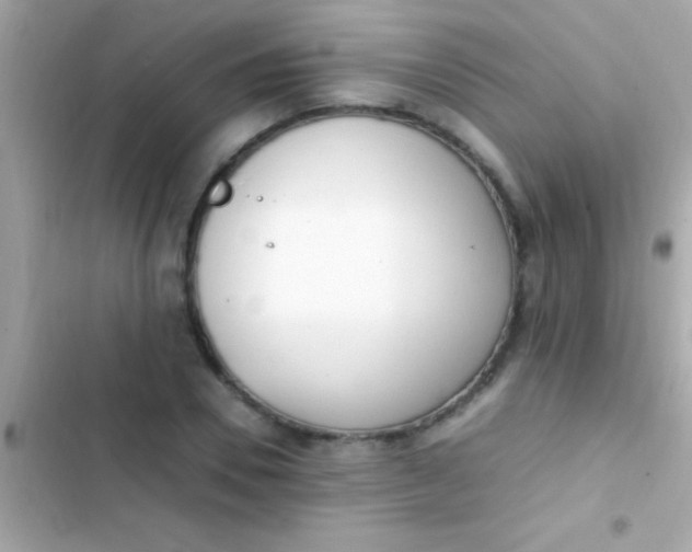 X0000103330930200809192201