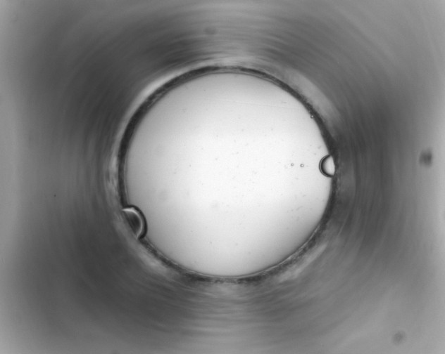 X0000103330932200809192201