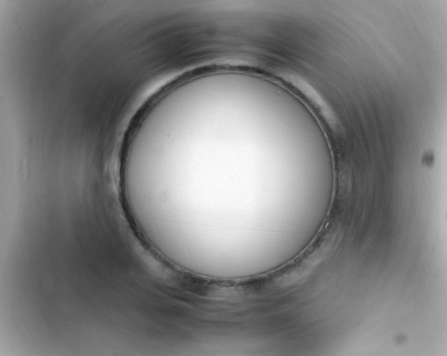 X0000103330935200809192201