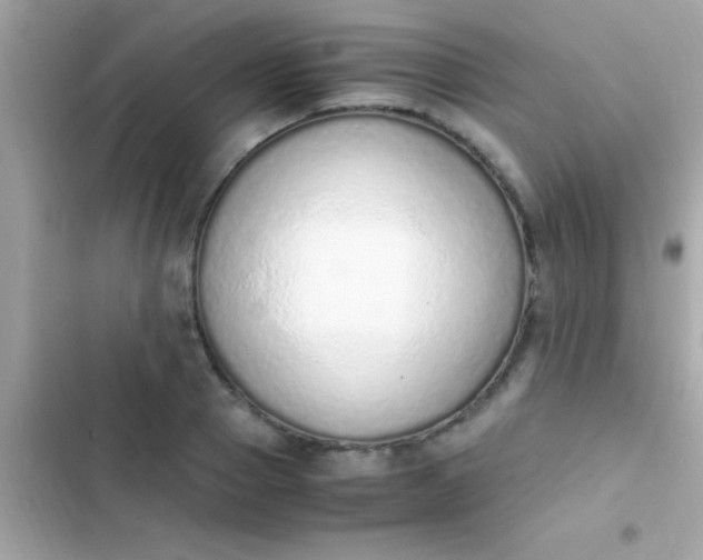 X0000103330937200809192201