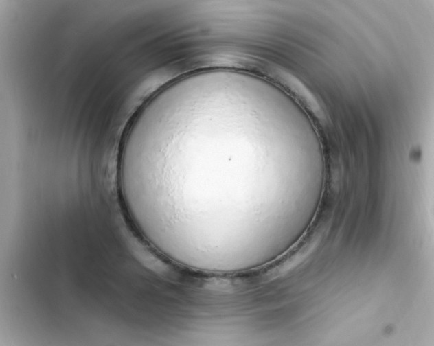 X0000103330938200809192201