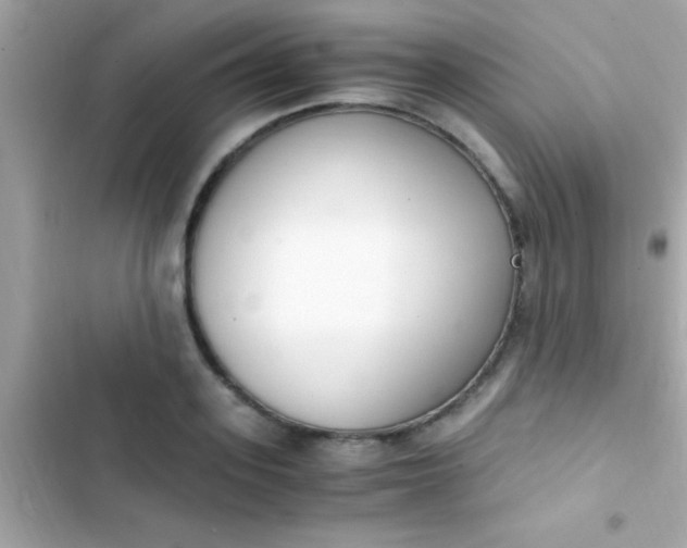 X0000103330939200809192201