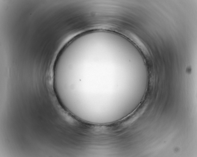 X0000103330940200809192201