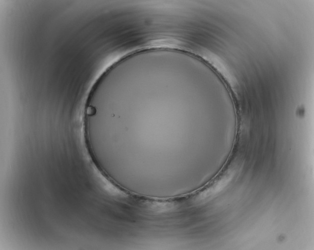 X0000103330941200809192201