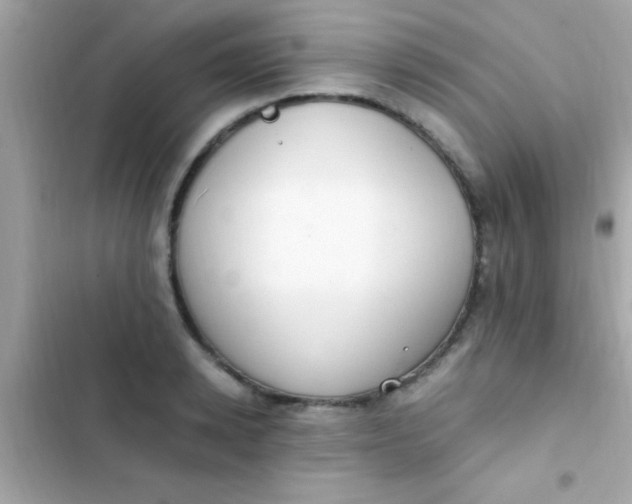 X0000103330942200809192201