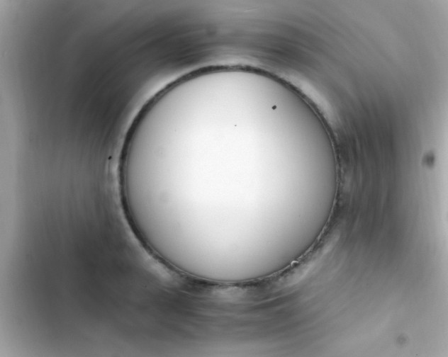 X0000103330943200809192201