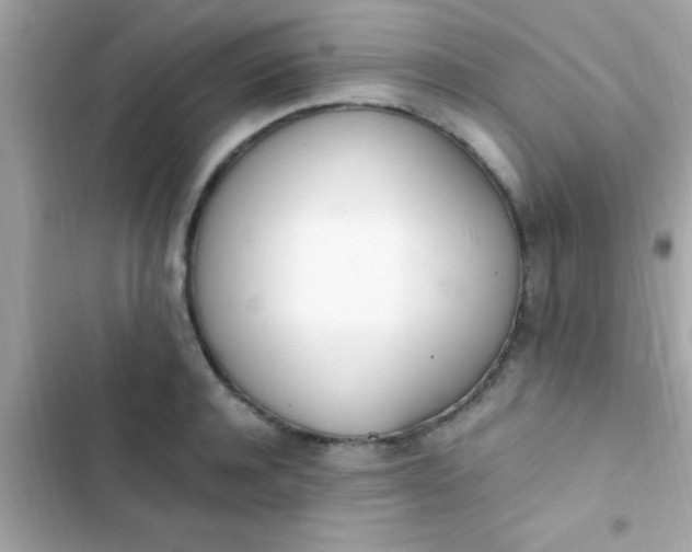 X0000103330944200809192201