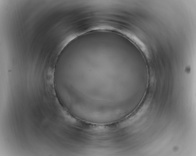 X0000103330945200809192201