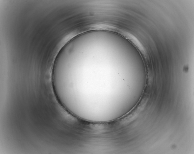 X0000103330946200809192201