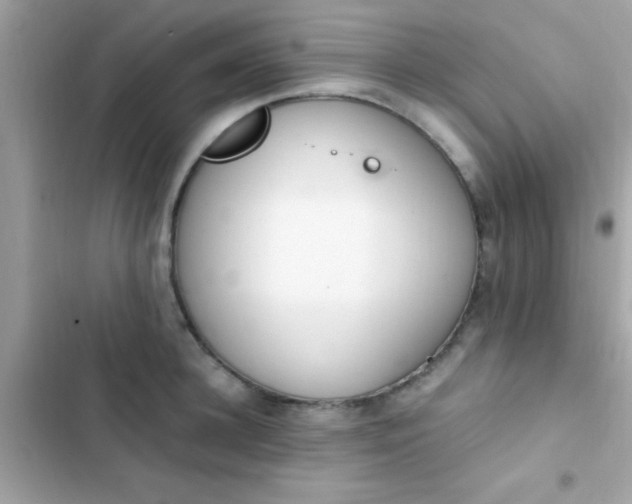 X0000103330948200809192201