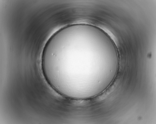 X0000103330949200809192201