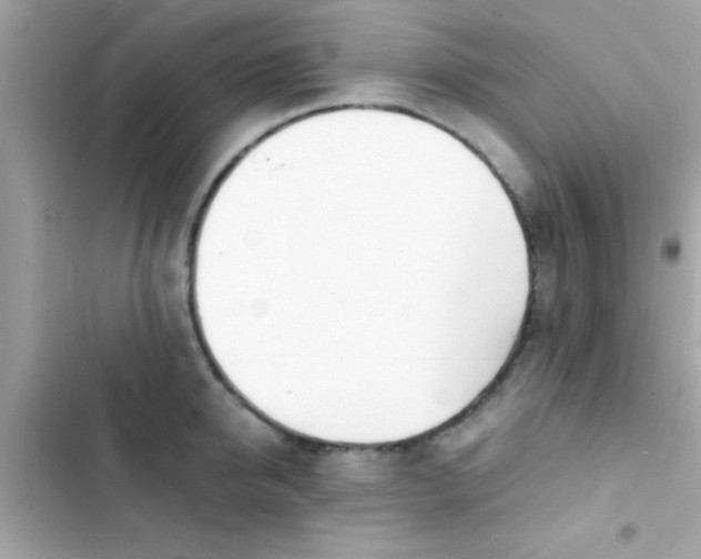 X0000103330950200809192201