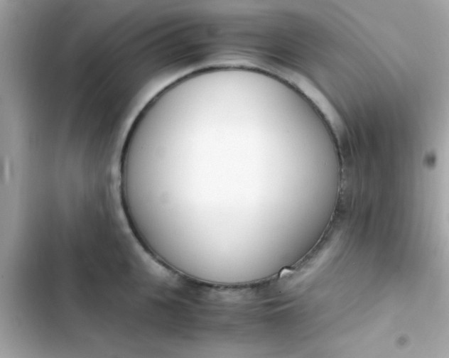 X0000103330951200809192201