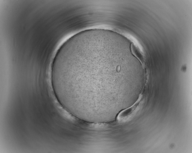 X0000103330952200809192201