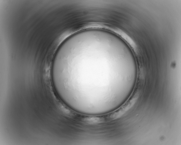 X0000103330953200809192201