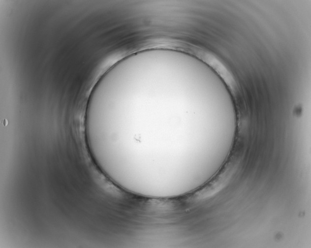 X0000103330954200809192201