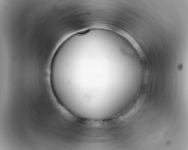 X0000103330955200809192201