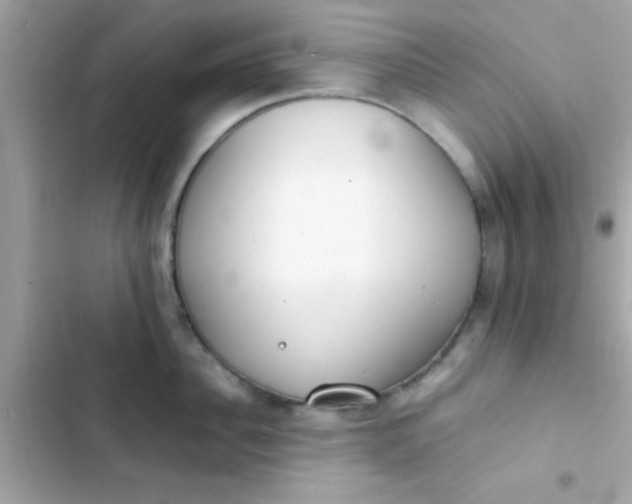 X0000103330956200809192201