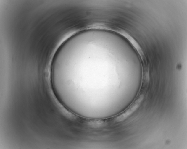 X0000103330957200809192201