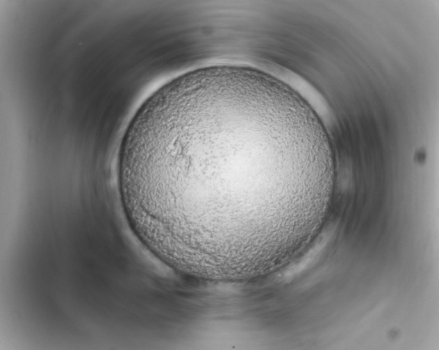 X0000103330958200809192201