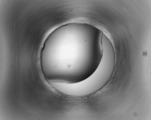 X0000103330960200809192201