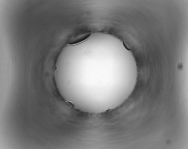 X0000103330961200809192200