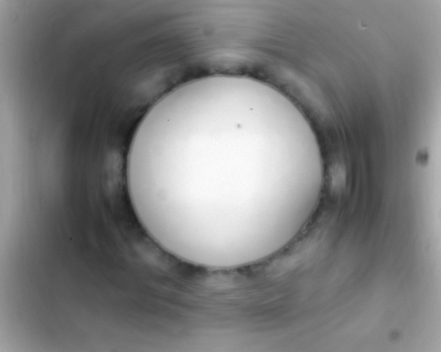 X0000103330964200809192200