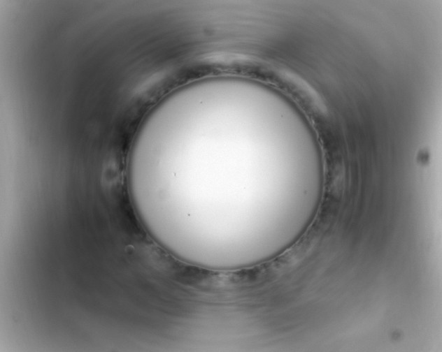 X0000103330966200809192200