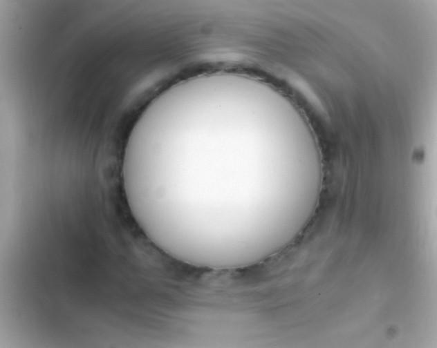 X0000103330967200809192200