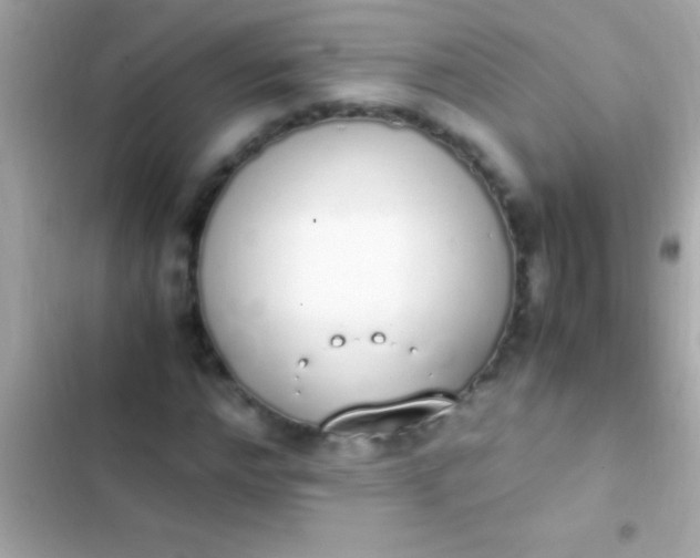 X0000103330968200809192200