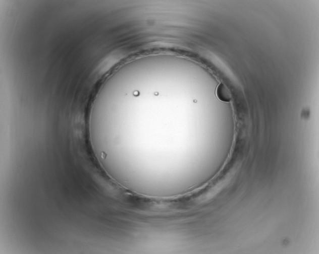 X0000103330969200809192200