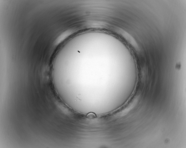 X0000103330970200809192200