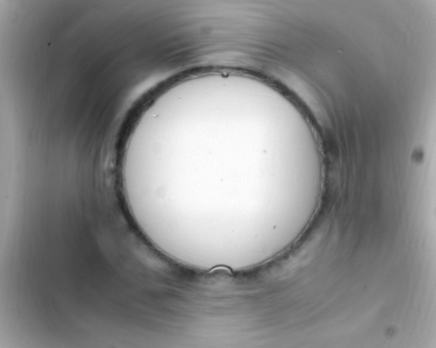 X0000103330971200809192200