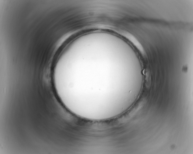 X0000103330972200809192200