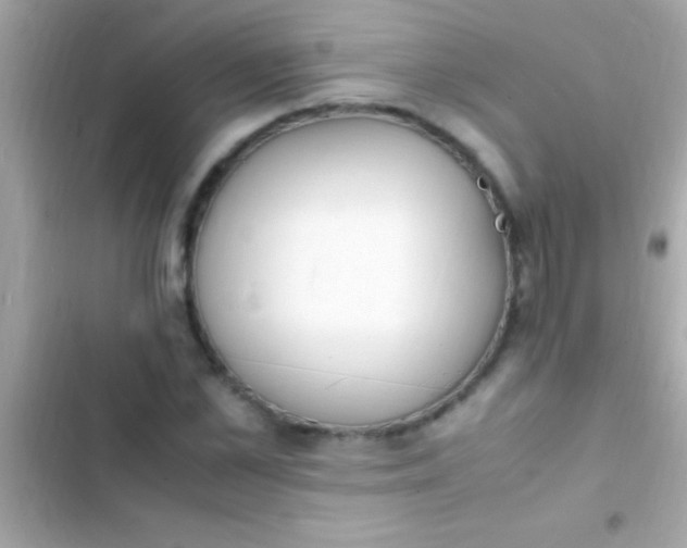 X0000103330973200809192200