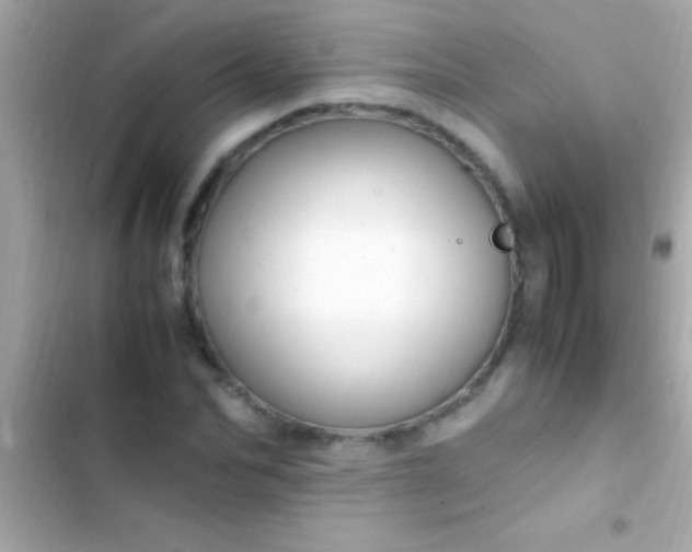 X0000103330974200809192200