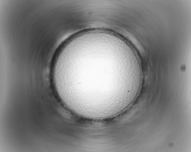 X0000103330975200809192200