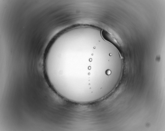 X0000103330976200809192200