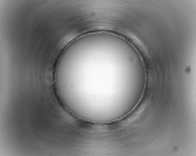 X0000103330977200809192200