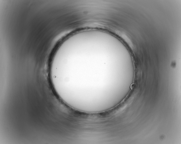 X0000103330979200809192200