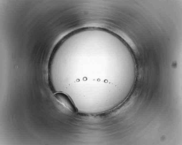 X0000103330980200809192200