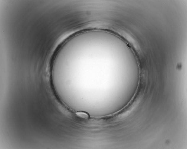 X0000103330981200809192200