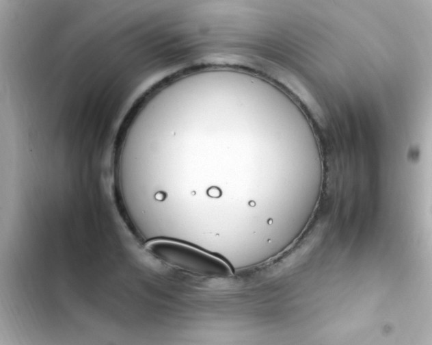 X0000103330984200809192200